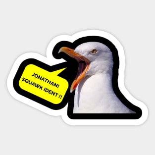 Squawk Ident Sticker